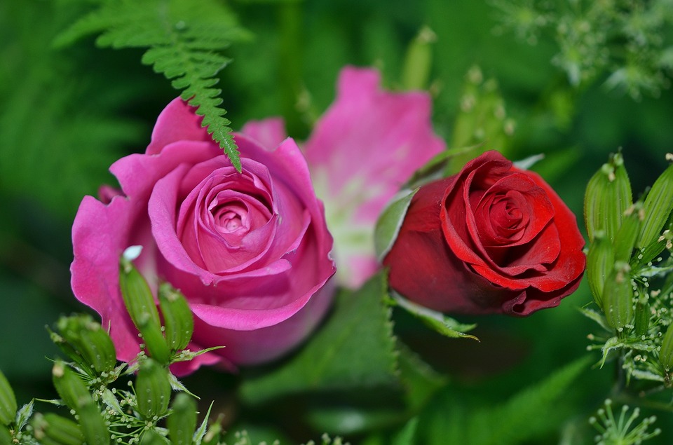 blog-image
